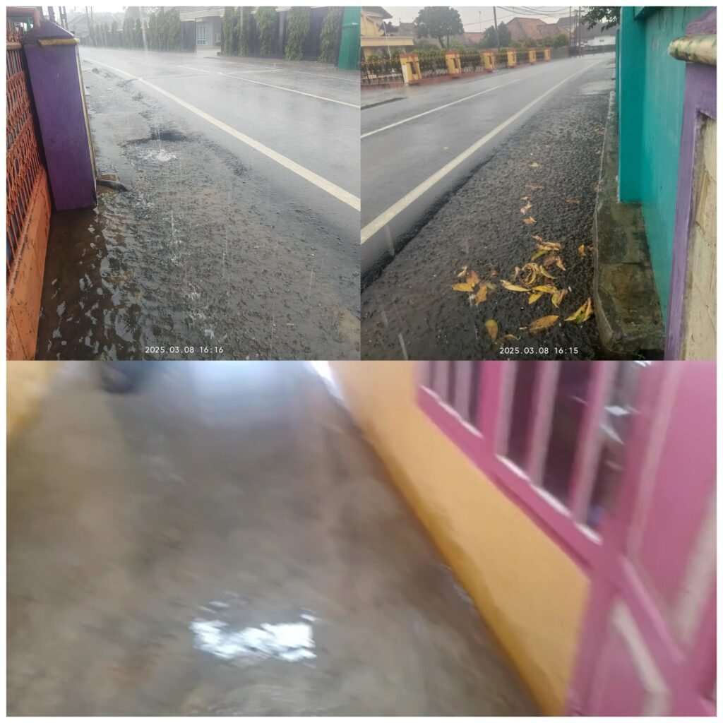 InCollage_20250316_052249499