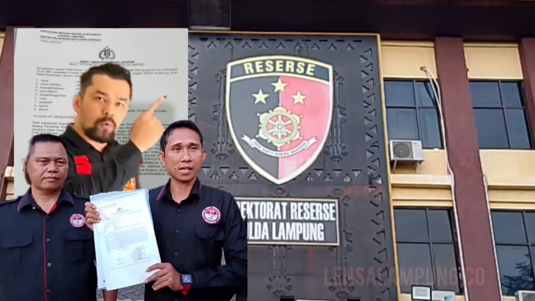 InShot_20250610_001135686