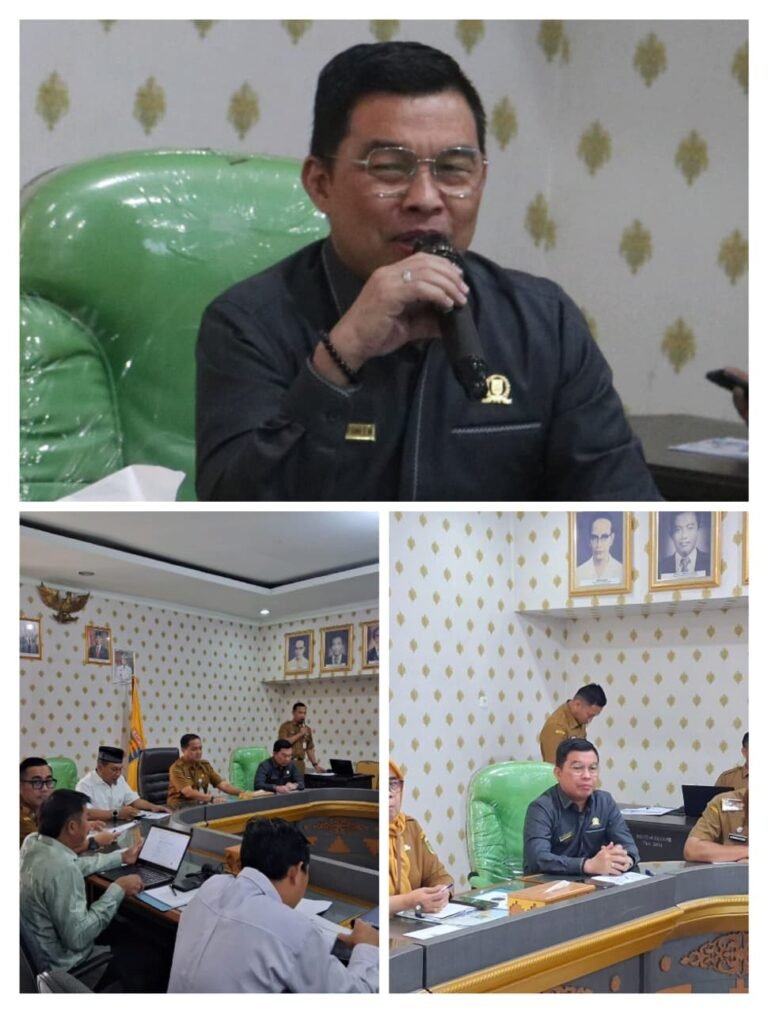 WhatsApp Image 2026-03-03 at 15.58.52